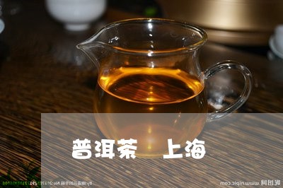 普洱茶 上海/2023042995903